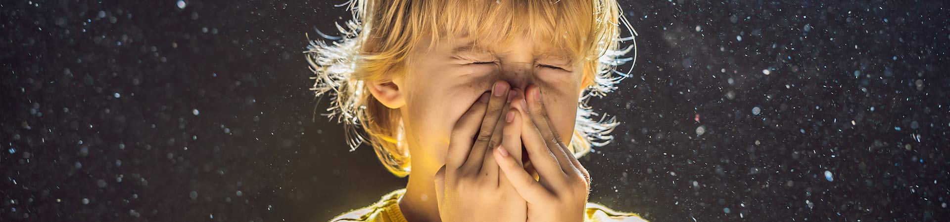 Kvaliteta kućnog vazduha i kontrolisana mehanička ventilacija